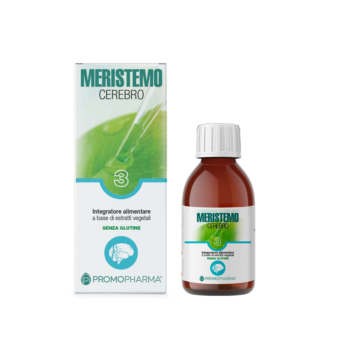 Meristemo 3 - Cerebro