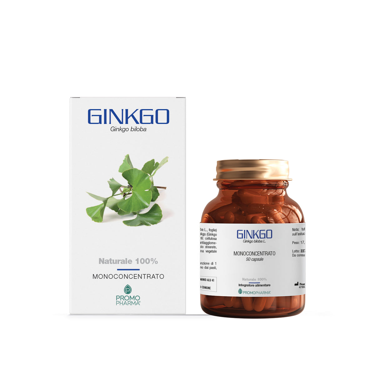 Ginkgo - Monoconcentrato