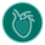 Integratori Cardiovascolari