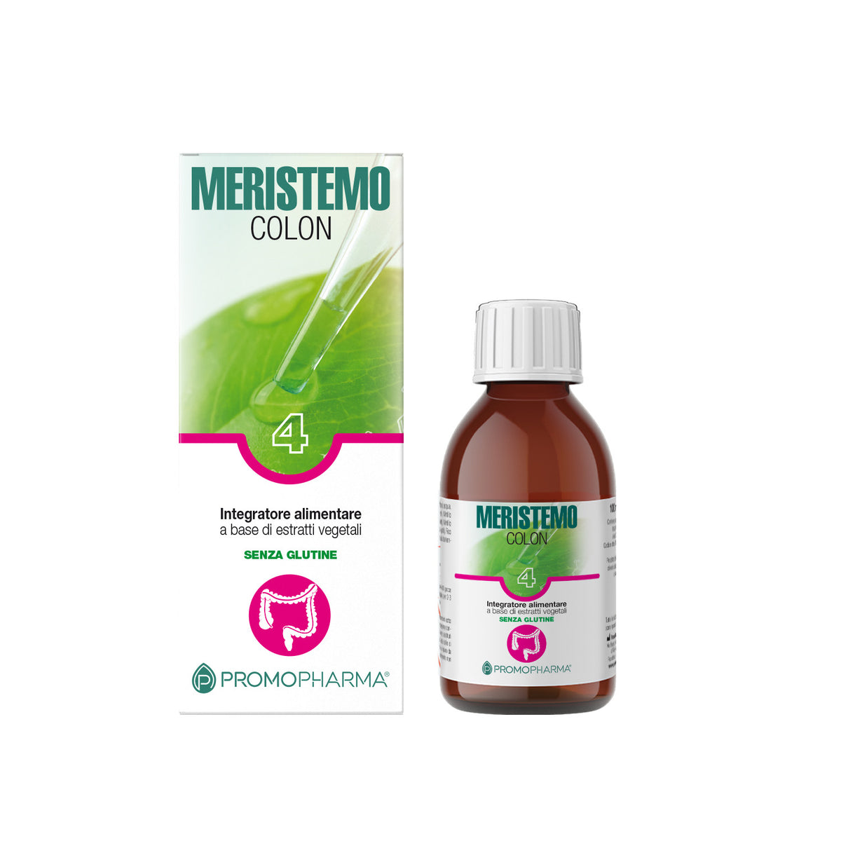 Meristemo 4 - Colon
