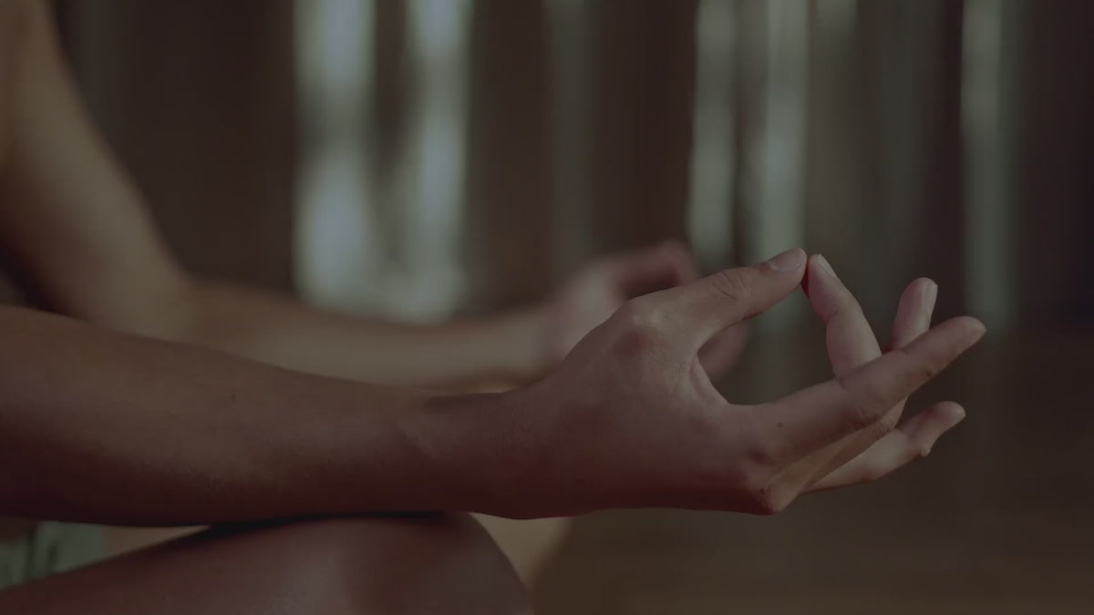 Carica il video: Elevate your lifestyle